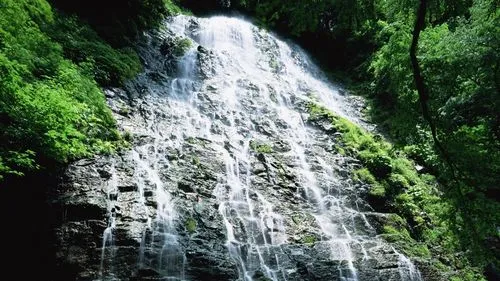自动化数字化高端